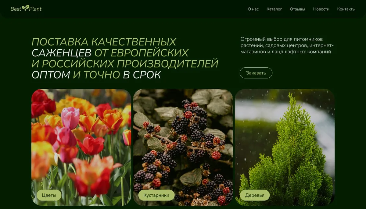 Первый экран поставщика саженцев Best Plant
